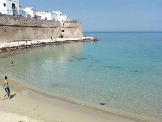 My Monopoli -Casa Dei Fiori Suite "Tulipano Nero" Centro Storico Kültér fotó